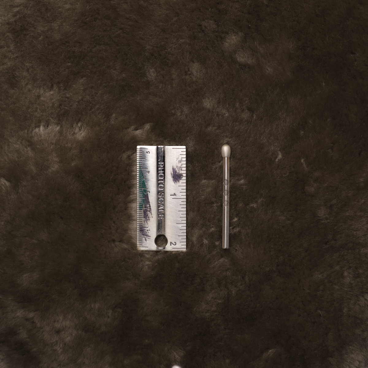 Match Stick (White Tip)